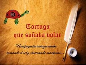 cuentos infantiles cortos, La tortuga catarina