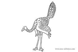 dibujos-para-colorear-archaeopteryx