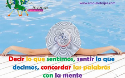 Frases celebres-Séneca-5