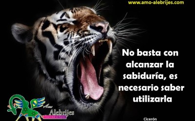Frases celebres-Cicerón-5