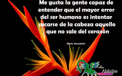 Frases celebres-Mario Benedetti-5