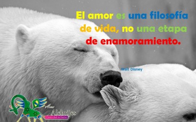 Frases celebres-Walt Disney-5