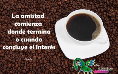 Frases celebres-Cicerón-6