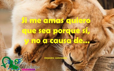 Frases celebres – Alejandro Jodorowsky -6|Amo Alebrijes