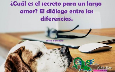 Frases celebres-Mario Benedetti-6