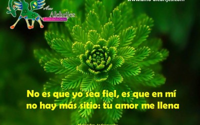 Frases celebres – Alejandro Jodorowsky -7|Amo Alebrijes