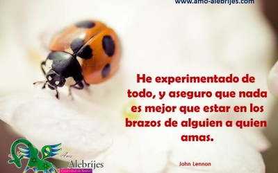 Frases celebres-John Lennon-7