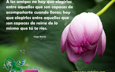 Frases celebres-Jorge Bucay-7