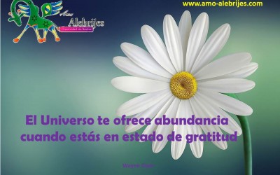 Frases celebres-Wayne Dyer-7