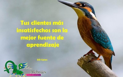 Frases celebres-Bill Gates-7