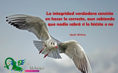 Frases celebres-Oprah Winfrey-7