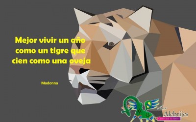 Frases celebres-Madonna-6