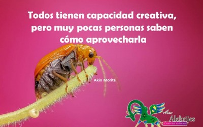 Frases celebres – Akio Morita -7|Amo Alebrijes