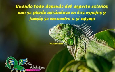 Frases celebres-Richard Bach-7