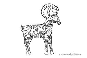dibujos para colorear cabra zebra