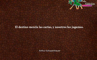 Frases celebres Arthur Schopenhauer 11