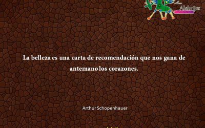 Frases celebres Arthur Schopenhauer 12