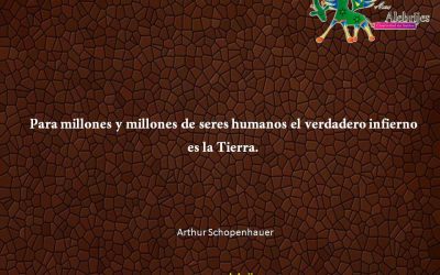 Frases celebres Arthur Schopenhauer 13