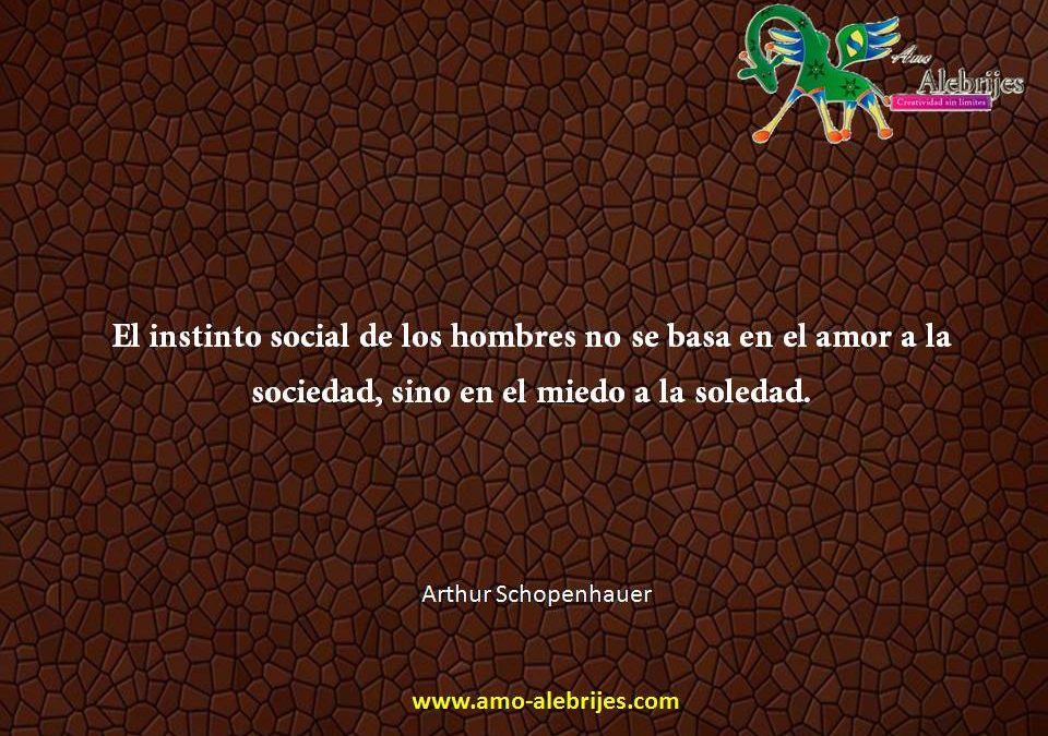 Frases celebres Arthur Schopenhauer 14