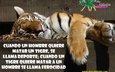 Frases celebres George Bernard Shaw 4