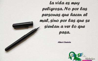 Frases celebres Albert Einstein 2