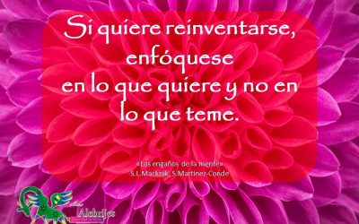 Frases celebres S L Macknik S Martinez-Conde 1