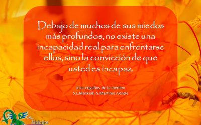 Frases celebres S L Macknik S Martinez-Conde 2