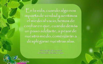Frases celebres S L Macknik S Martinez-Conde 3