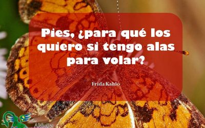 Frases celebres Frida Kahlo 3