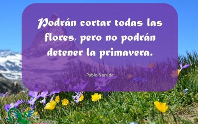 Frases celebres Pablo Neruda 2