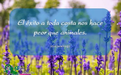 Frases celebres José Saramago 8