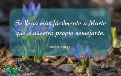 Frases celebres José Saramago 9