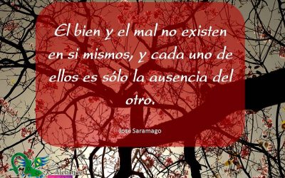 Frases celebres José Saramago 14